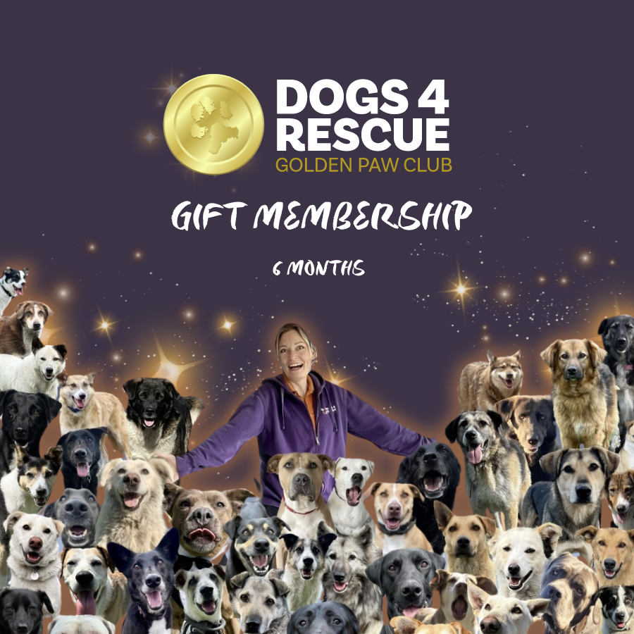 6 Months Golden Paw Club Gift Membership