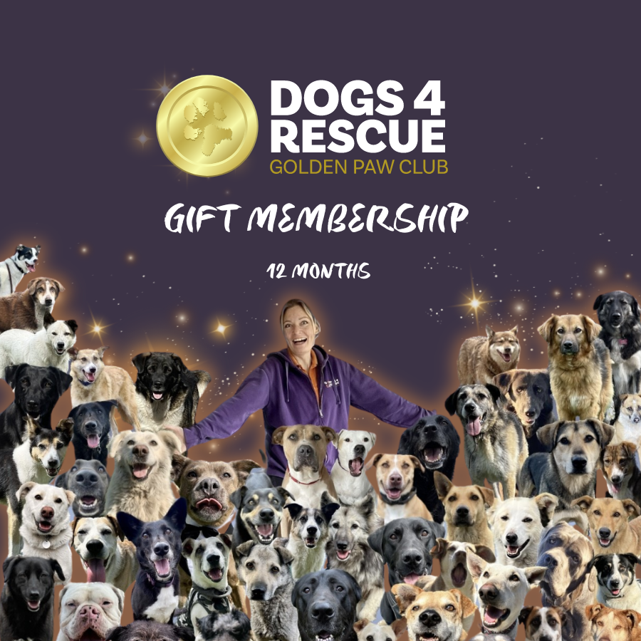 12 Months Golden Paw Club Gift Membership