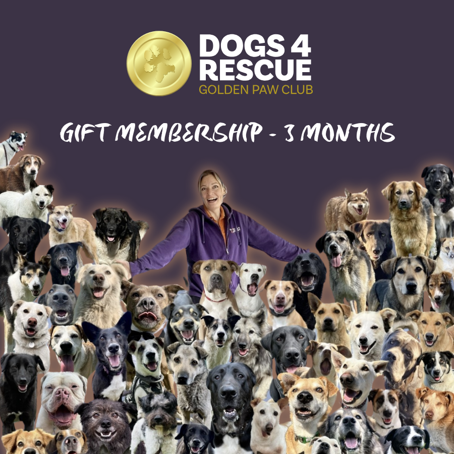 3 Months Golden Paw Club Gift Membership