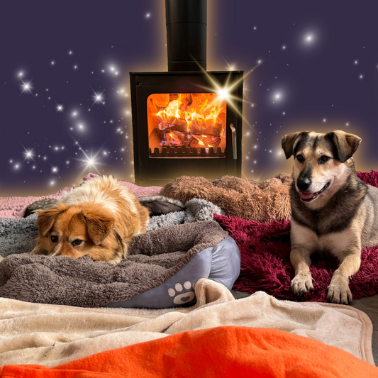 A Warm Fire For A Rescue Dog