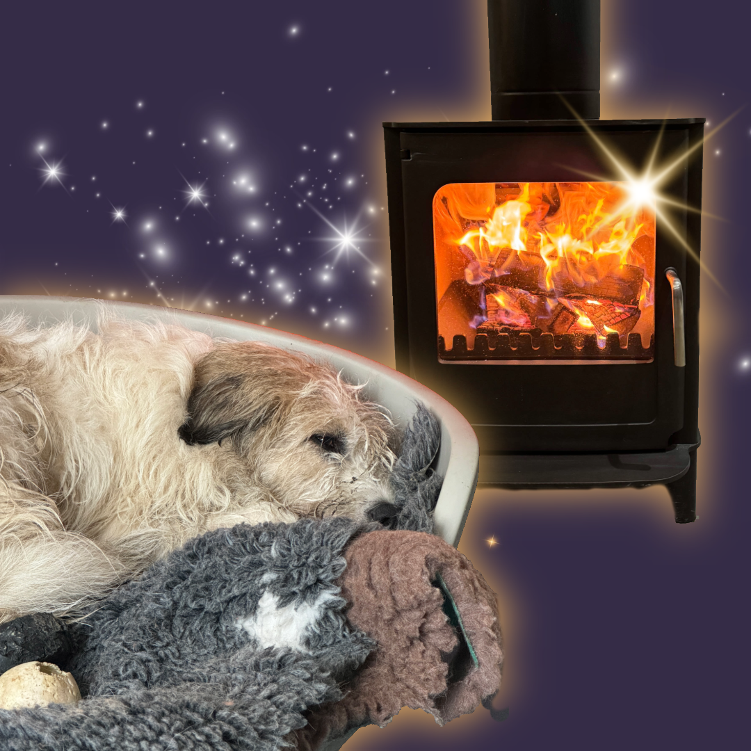 A Warm Fire For A Rescue Dog